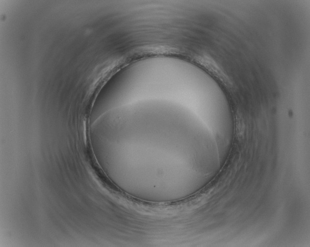 X0000076380014200610271539