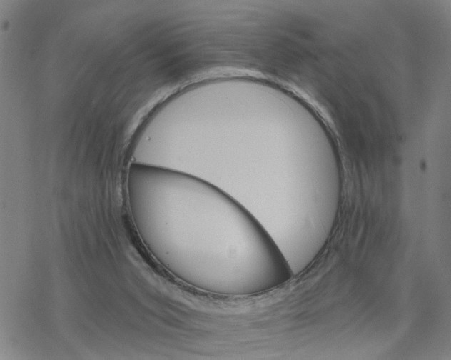 X0000076380015200610271539