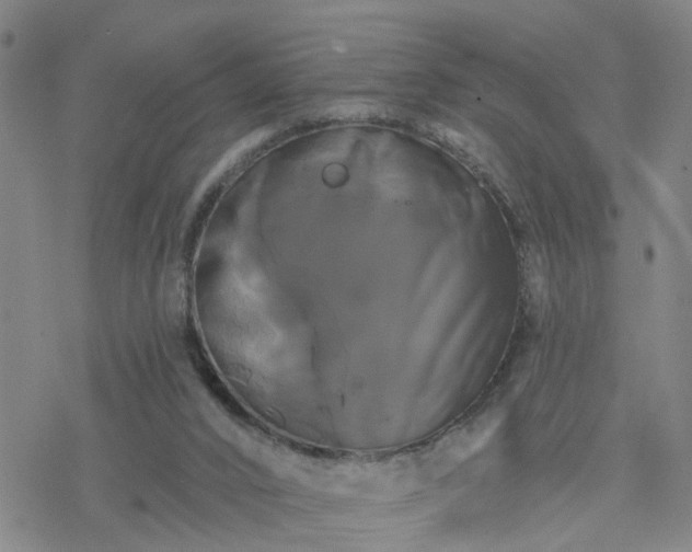 X0000076380016200610271539