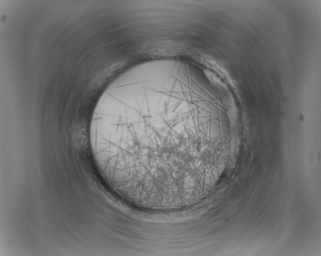 X0000076380017200610271539