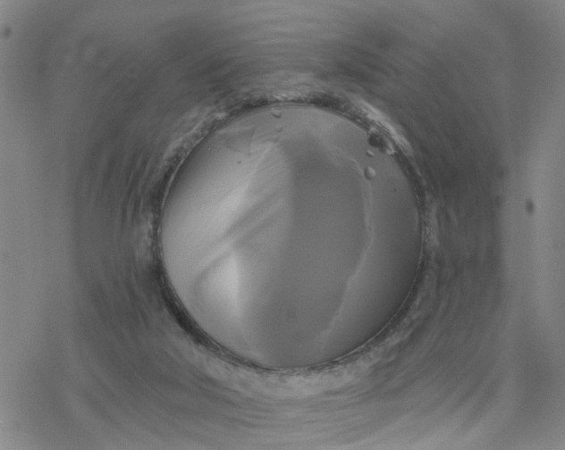 X0000076380018200610271539