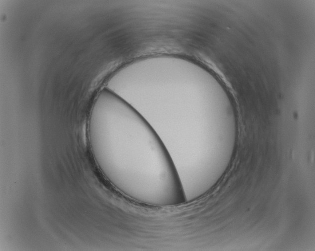 X0000076380019200610271539