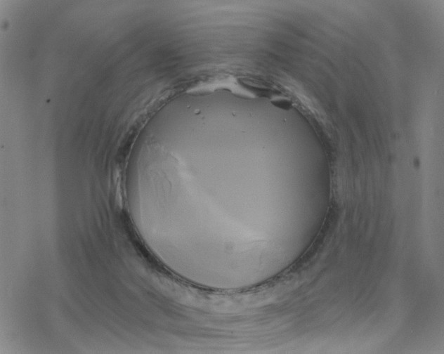 X0000076380022200610271539