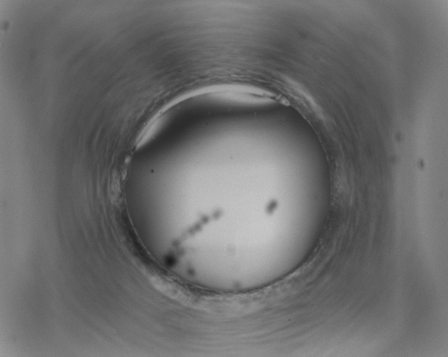 X0000076380025200610271539