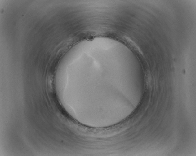 X0000076380026200610271539