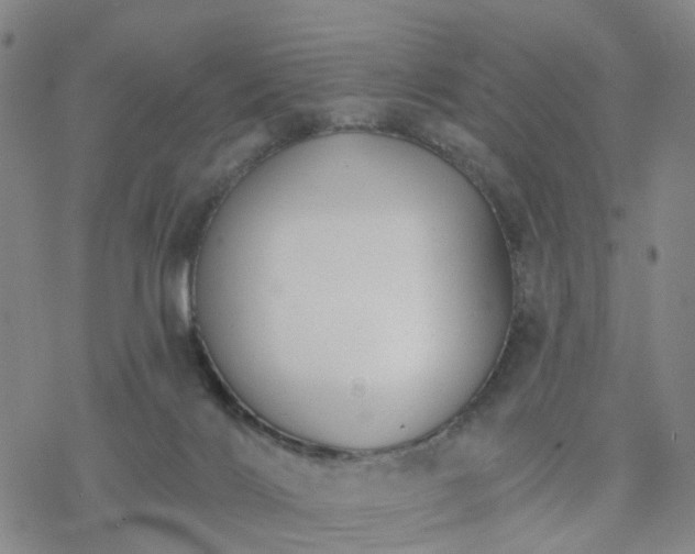 X0000076380028200610271539