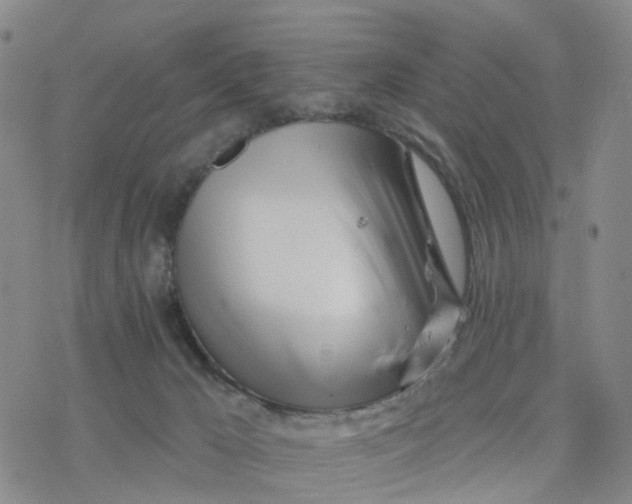 X0000076380029200610271539