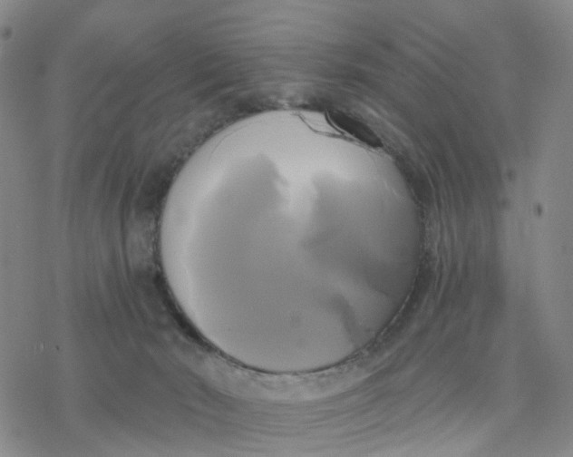 X0000076380030200610271539