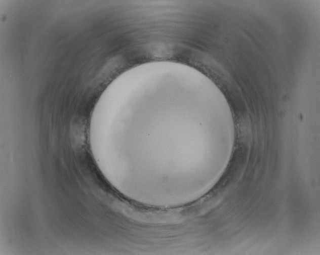 X0000076380032200610271539