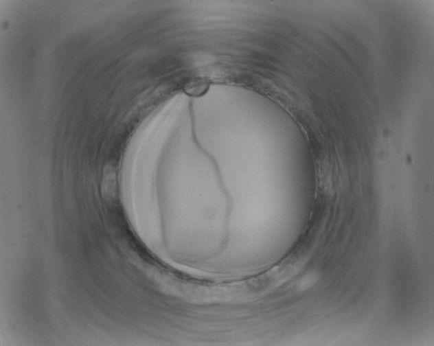 X0000076380036200610271539