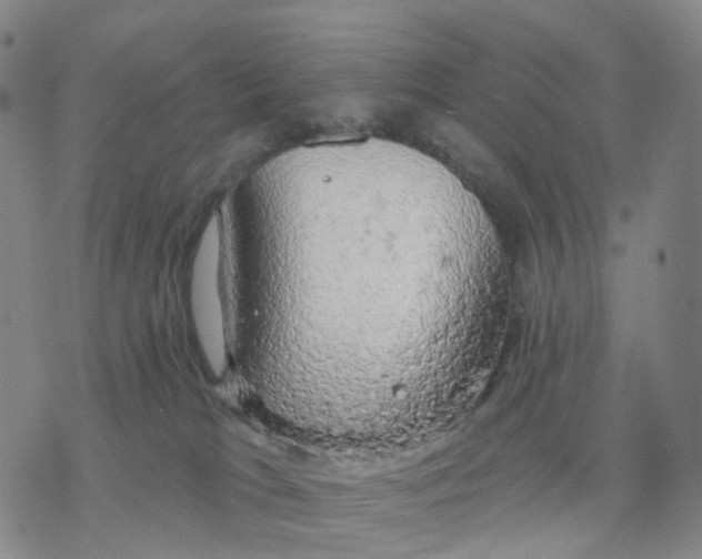 X0000076380037200610271539