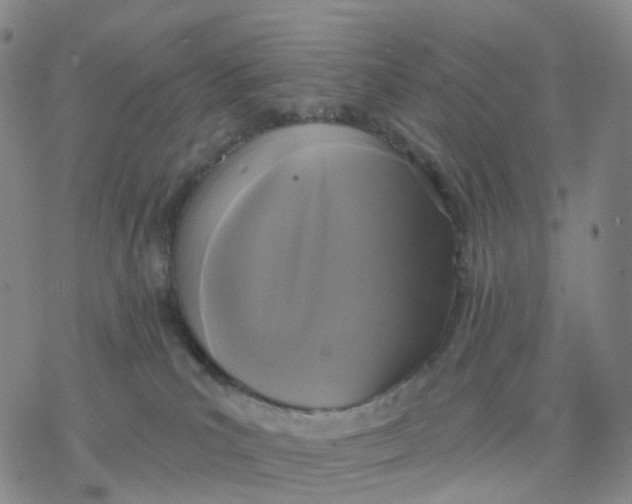 X0000076380039200610271539