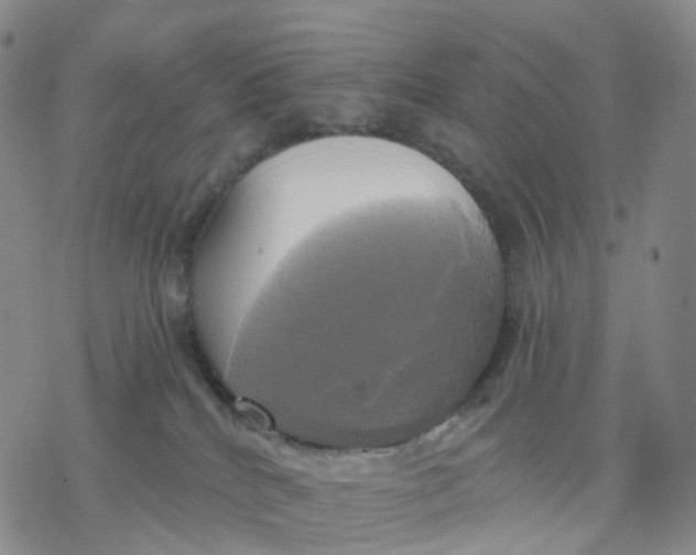 X0000076380040200610271539