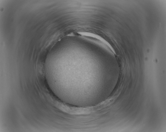 X0000076380044200610271539