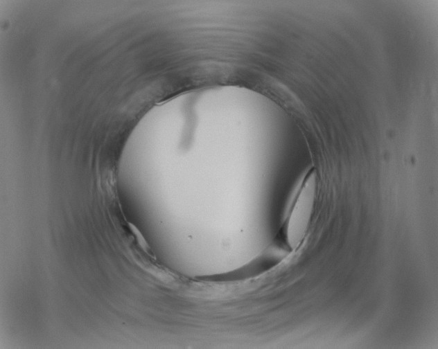 X0000076380045200610271539