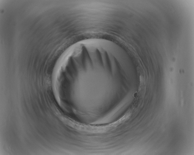 X0000076380048200610271539