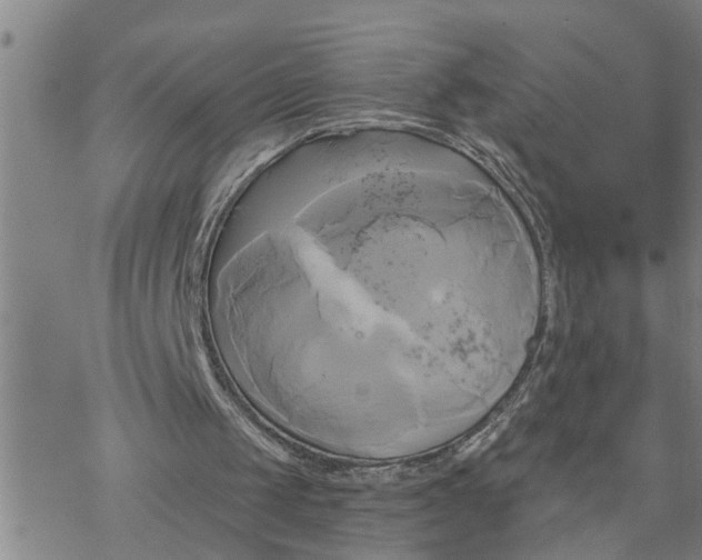 X0000076380049200610271538