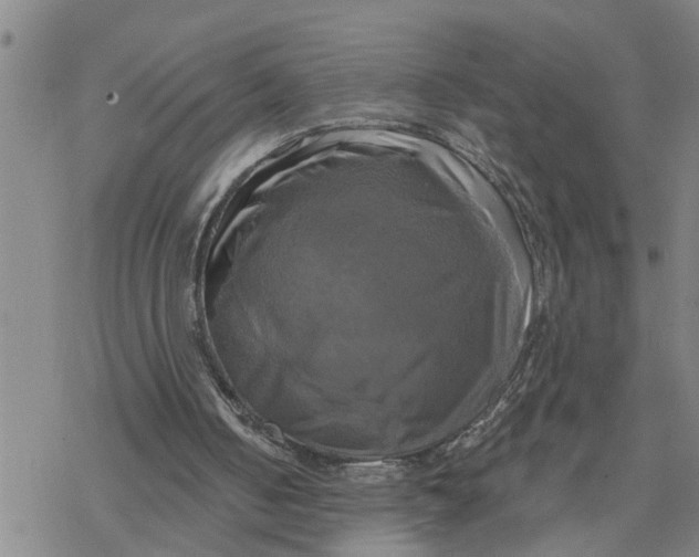 X0000076380050200610271538