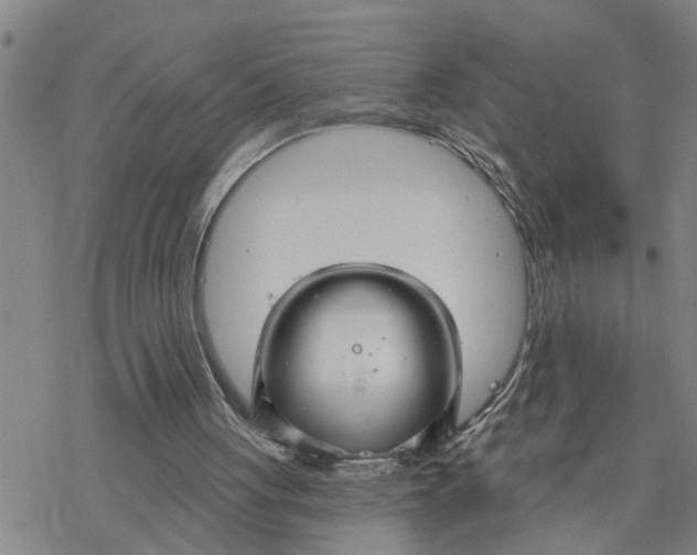 X0000076380051200610271538