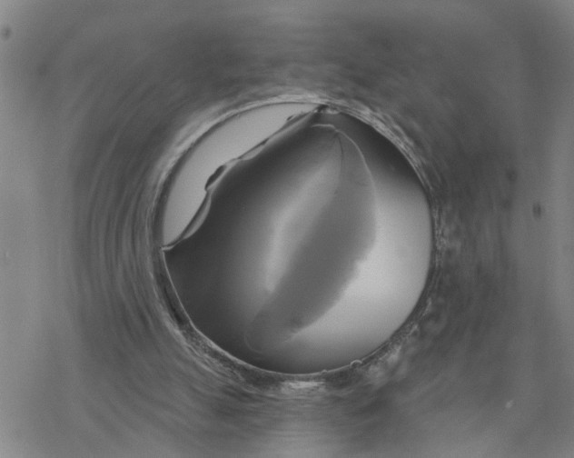 X0000076380055200610271538