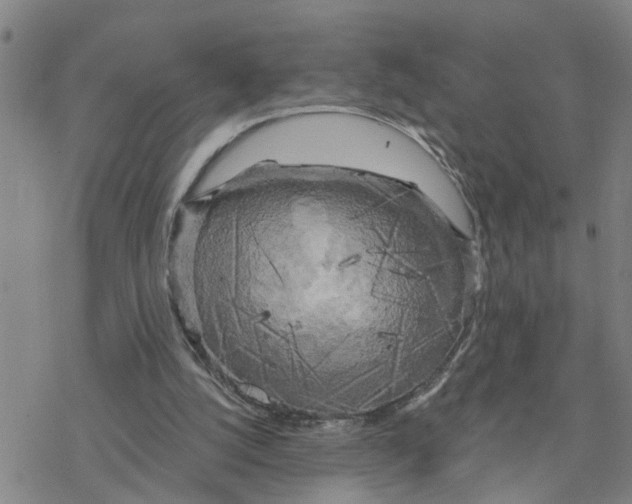 X0000076380056200610271538