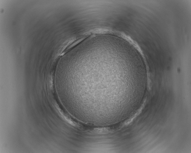 X0000076380057200610271538