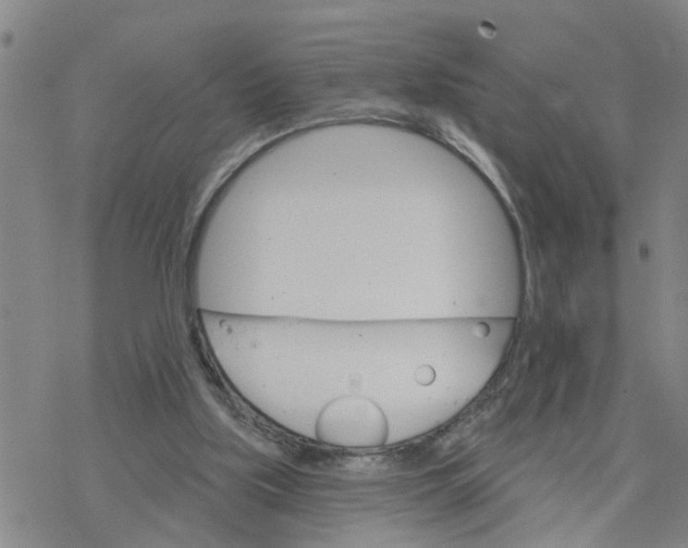 X0000076380059200610271538