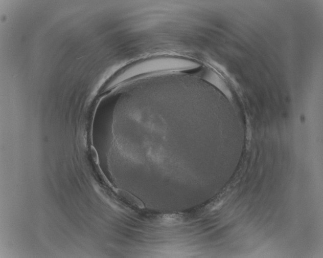 X0000076380060200610271538