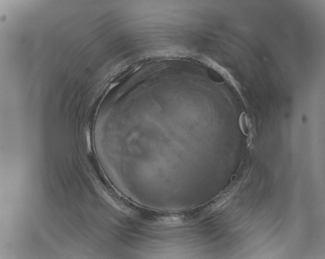 X0000076380061200610271538