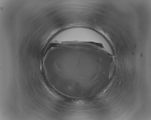 X0000076380062200610271538