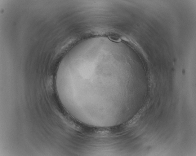 X0000076380066200610271538