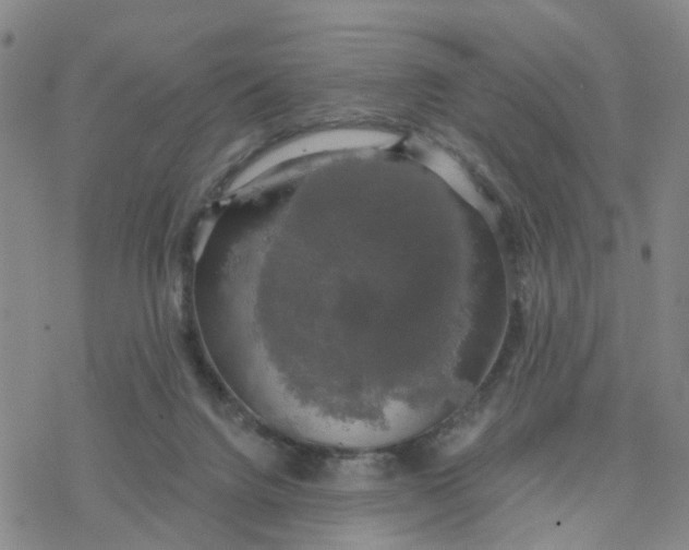 X0000076380072200610271538