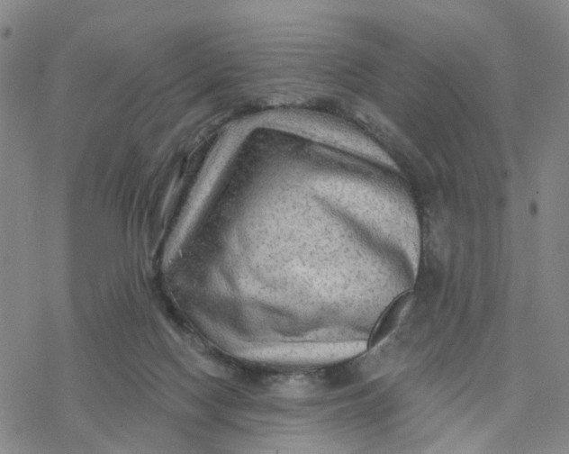 X0000076380074200610271538