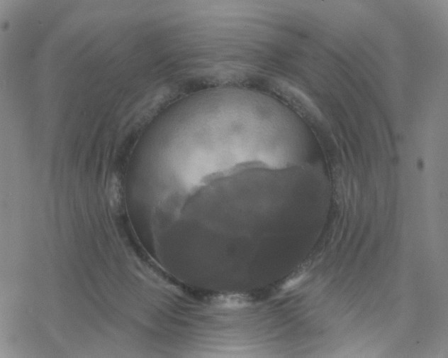 X0000076380077200610271538