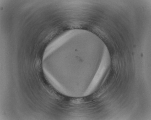 X0000076380079200610271538