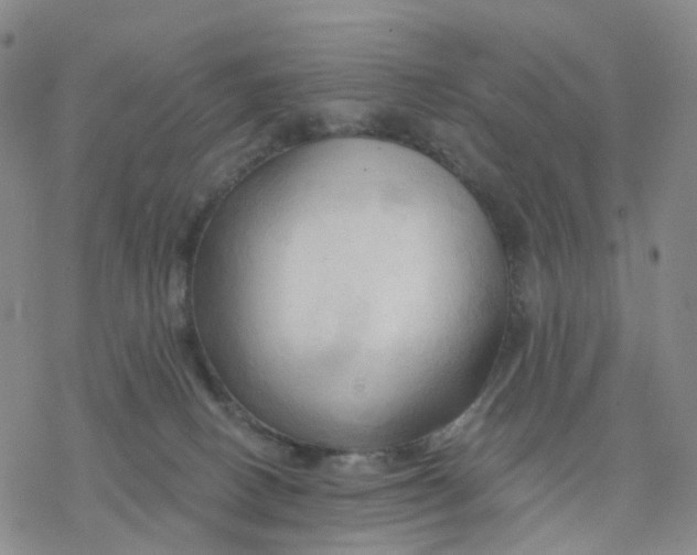 X0000076380082200610271538