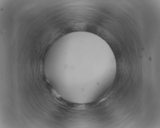 X0000076380083200610271539