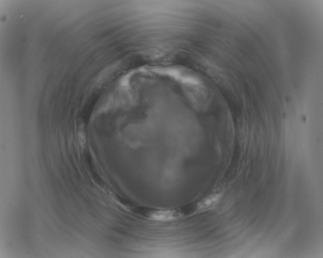 X0000076380085200610271539