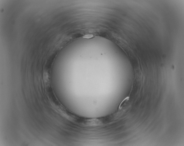 X0000076380087200610271539