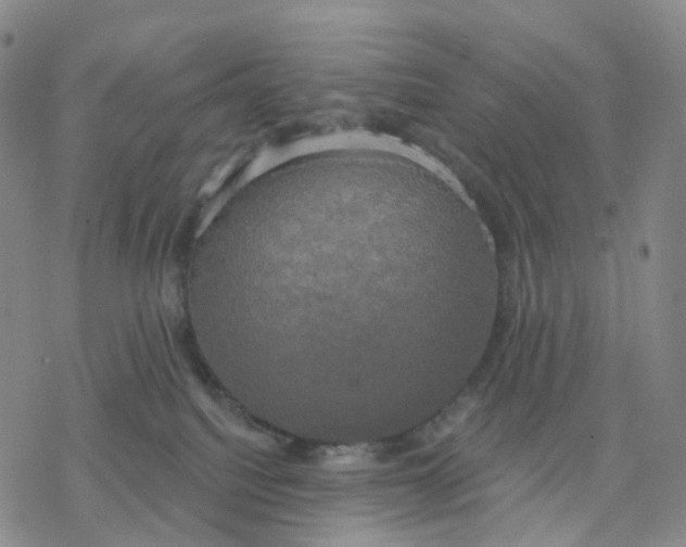 X0000076380088200610271539