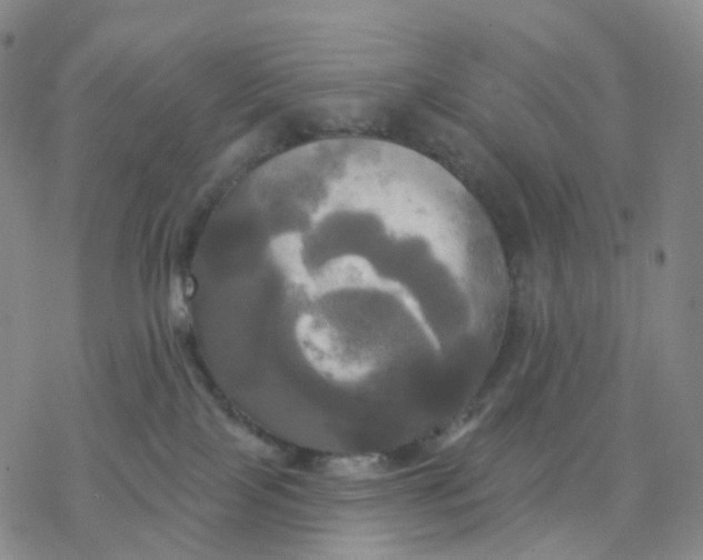 X0000076380089200610271539