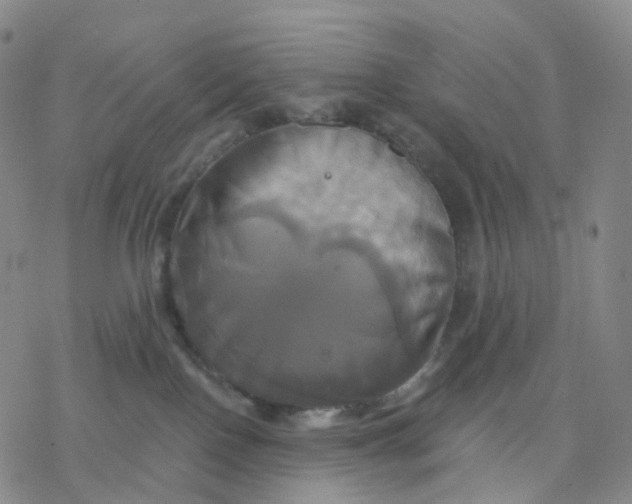 X0000076380090200610271539