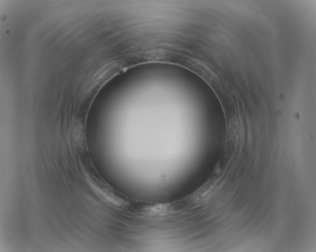 X0000076380092200610271539