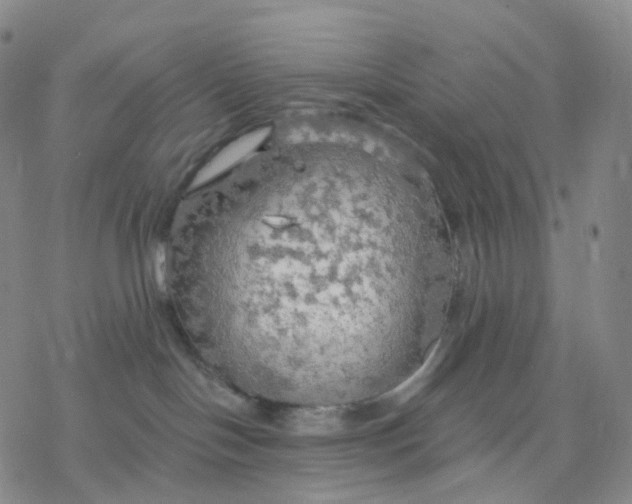 X0000076380094200610271539