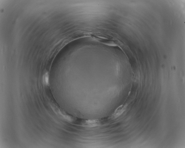 X0000076380095200610271539