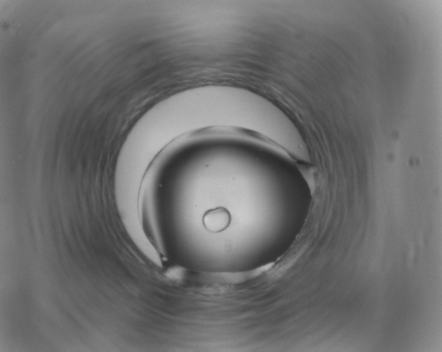 X0000076380096200610271539