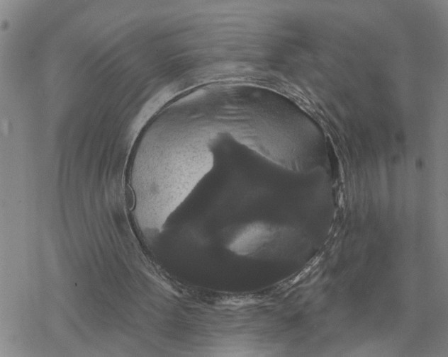 X0000076380099200610271538