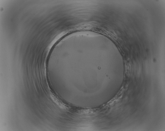 X0000076380100200610271538