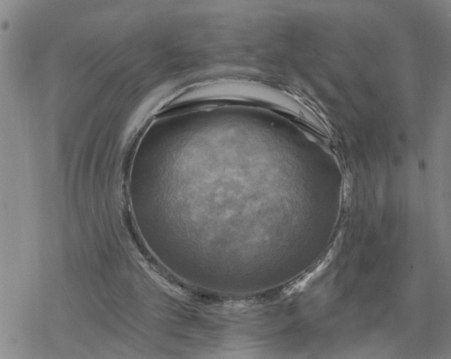 X0000076380101200610271538