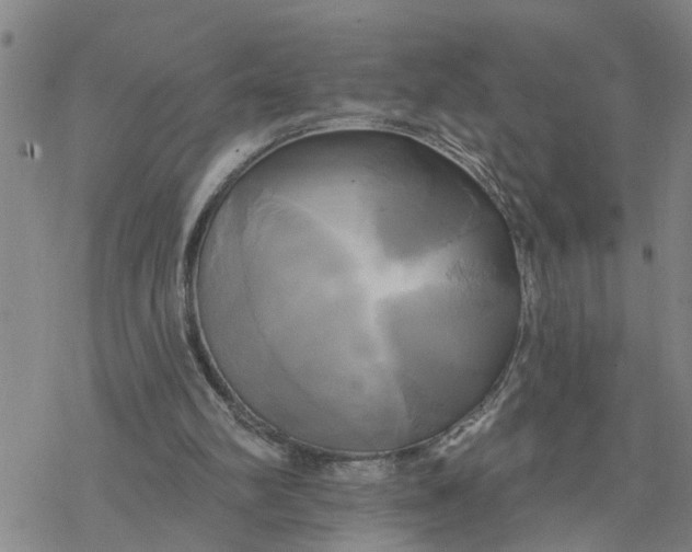 X0000076380102200610271538